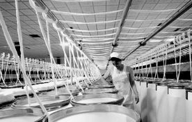 產(chǎn)業(yè)轉(zhuǎn)型與市場變遷 解讀數(shù)千工廠歇業(yè)背后的國內(nèi)貿(mào)易挑戰(zhàn)與機(jī)遇